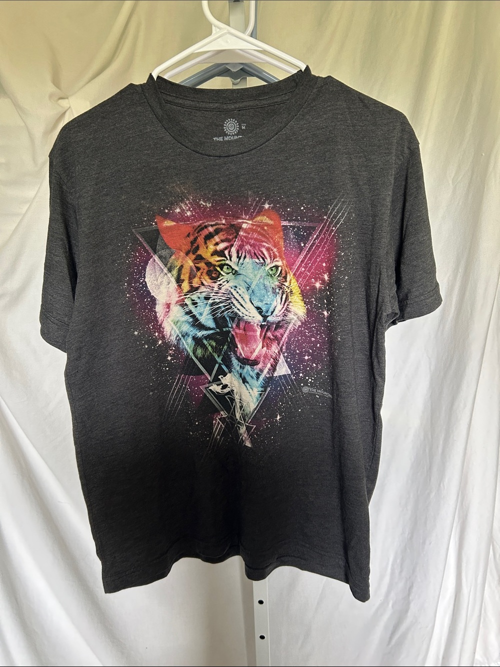 The mountain psychedelic tiger tee